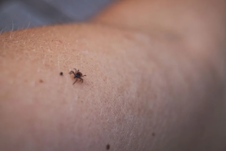 Erkės aktyvios ir rudenį: skiepytis dar ne vėlu