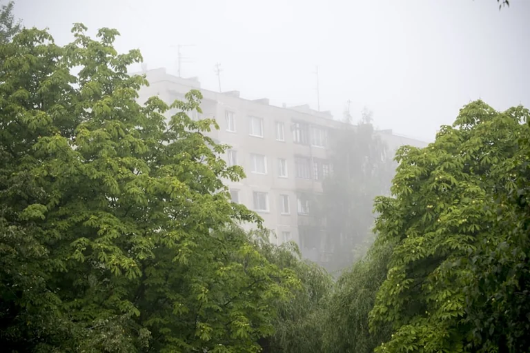 Orai Lietuvoje: savaitgalį laukia temperatūros pokyčiai ir krituliai