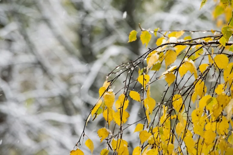 Orai Lietuvoje: rugsėjo 18-ąją stiprės vėjas, artėja temperatūros kritimas